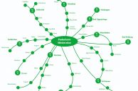 Die Grafik zeigt die Verbindungen innerhalb des Kreises Paderborns mit dem NachtExpress an