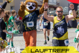 Das Foto zeigt das Maskottchen vom Salzkotten Marathon, ein Faultier, das neben den Läuferinnen und Läufern beim Salzkotten Marathon herläuft. Der Läufer vorne im Bild jubelt. Links stehen Cheerleader, die die Läufer anfeuer.