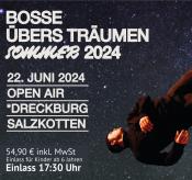 Mit BOSSE auf die Bühne – ein Traum wird wahr