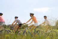 Mehrere Fahrradfahrer im Sonnenschein