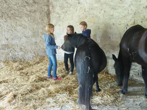 „Black Beauty, Ostwind, Schoko und Keks“ Erlebniswochenende für Kinder