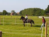 Reitertraining - Erlebniswochenende für Kinder in Salzkotten-Verne